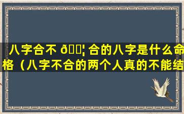 八字合不 🐦 合的八字是什么命格（八字不合的两个人真的不能结 🐵 婚吗）